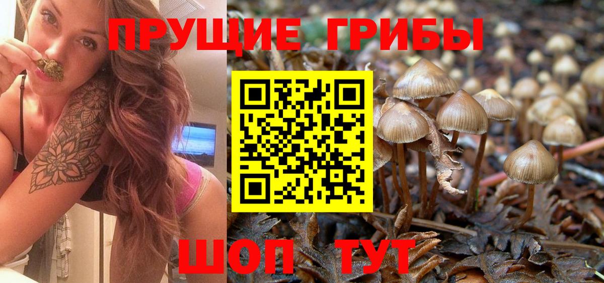 Псилоцибиновые грибы MAGIC MUSHROOMS Чусовой